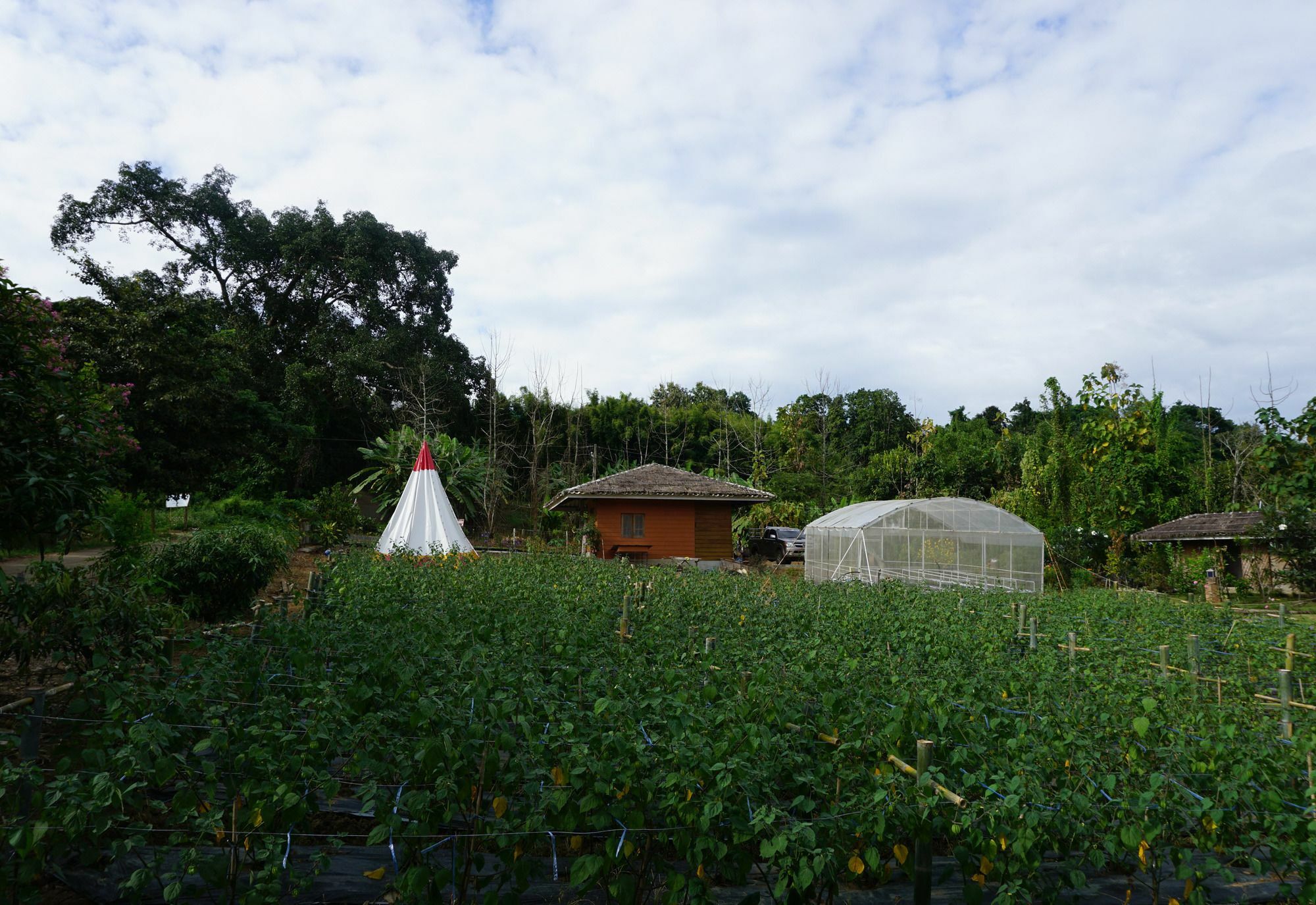 Chiang Dao Story Camp Hotel Exterior photo