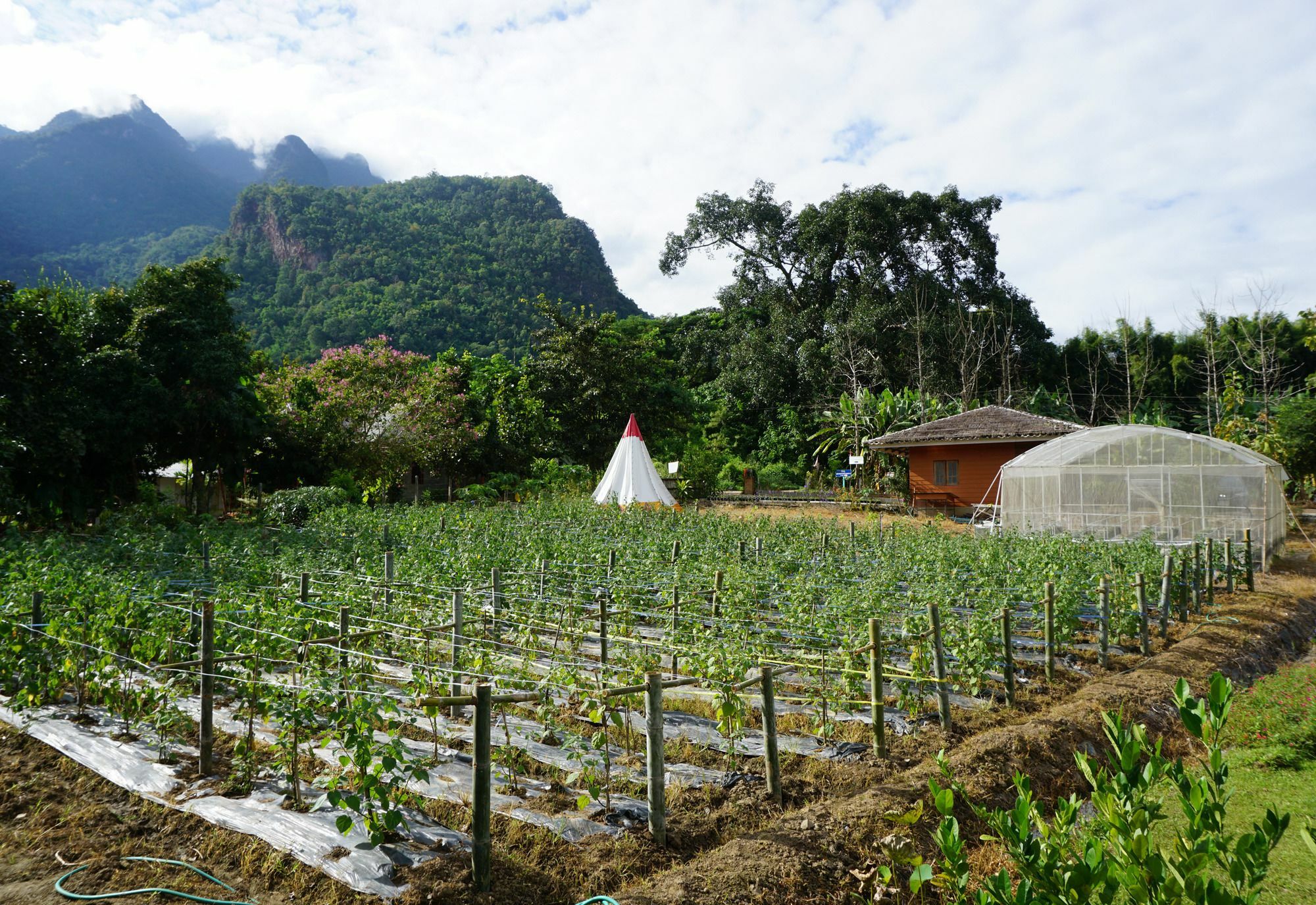 Chiang Dao Story Camp Hotel Exterior photo