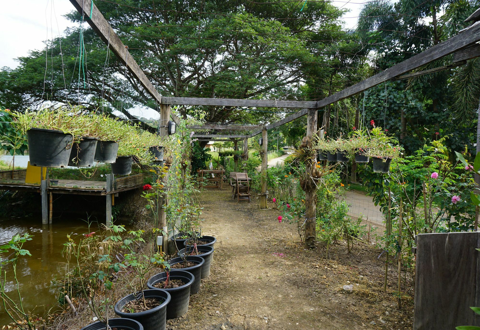 Chiang Dao Story Camp Hotel Exterior photo