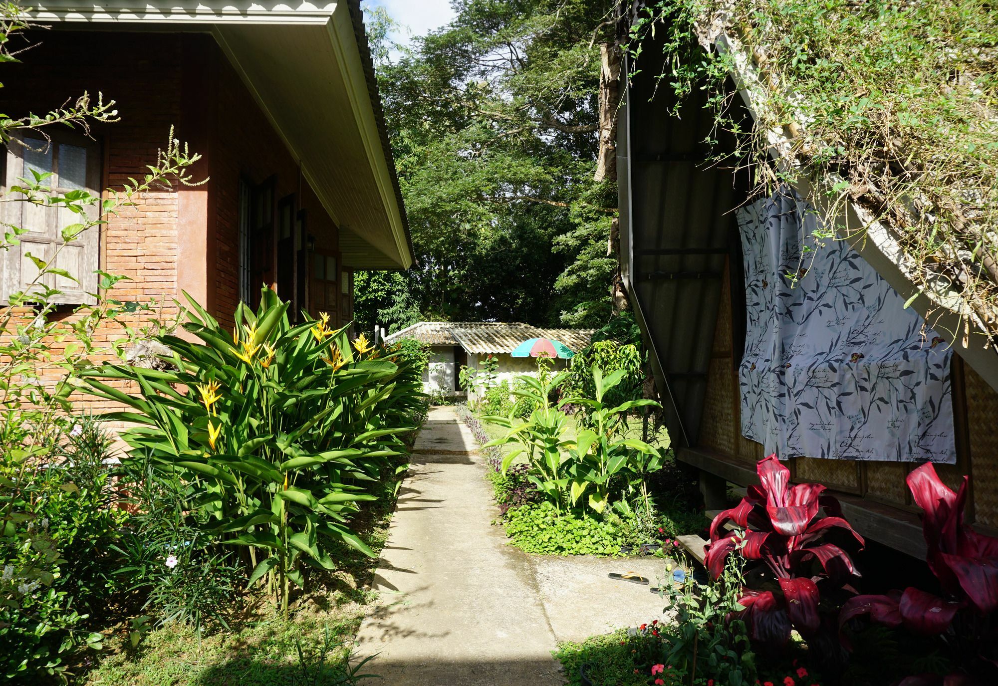 Chiang Dao Story Camp Hotel Exterior photo